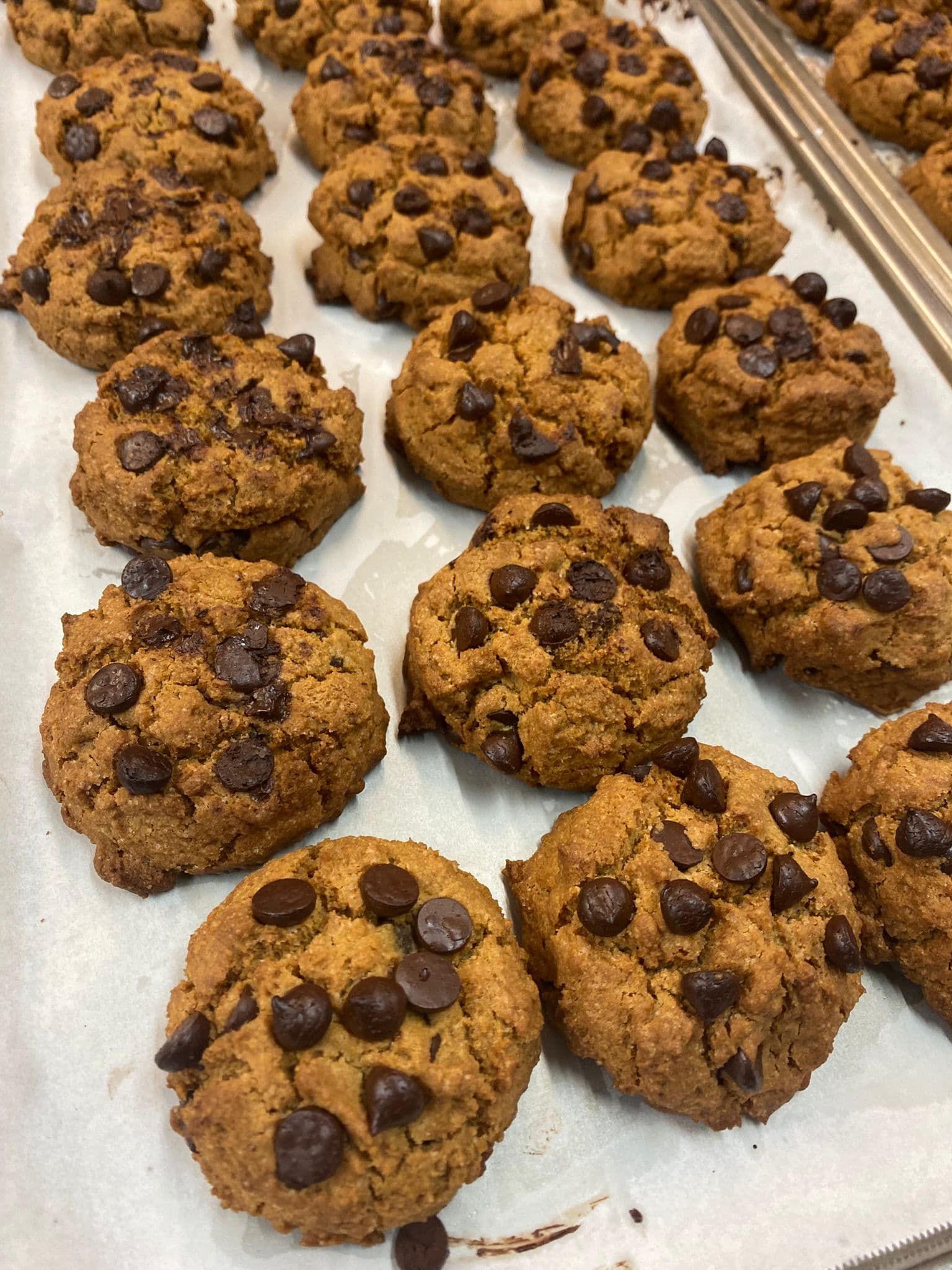 Choc-Chip Cookies